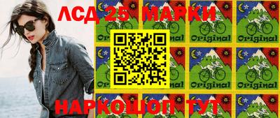 индика Ставрополь