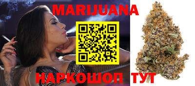 индика Ставрополь