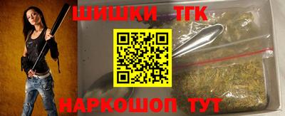 индика Ставрополь