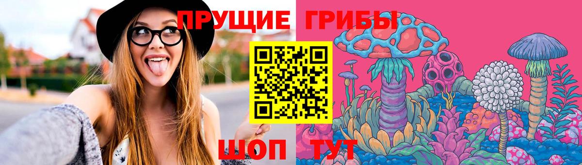 Тимашёвск  что такое наркотик  Вход с VPN  Галлюциногенные грибы Magic Shrooms  Галлюциногенные грибы Cubensis 